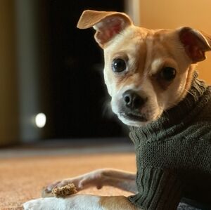 Selling Name Brand And As Good As New Items